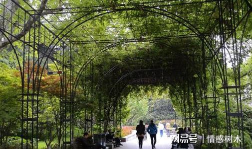 火狐电竞上海唯一的法式园林有着上百年的历史清朝时曾是法军指挥部！(图1)