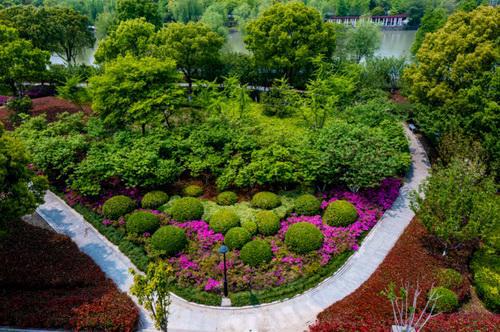 火狐电竞平湖市养护项目首获省优秀园林工程奖(图3)