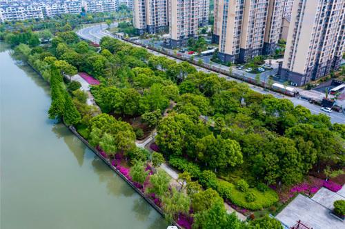 火狐电竞平湖市养护项目首获省优秀园林工程奖(图1)