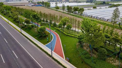 火狐电竞平湖市养护项目首获省优秀园林工程奖(图5)
