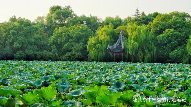 火狐电竞南浔古镇的王牌景点为晚清南浔首富私家花园历时四十载建成(图10)