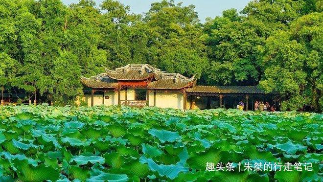 火狐电竞南浔古镇的王牌景点为晚清南浔首富私家花园历时四十载建成(图14)