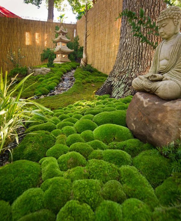 12个“日式庭院”景火狐电竞观设计让人百看不厌等有了院子就这样装(图3)