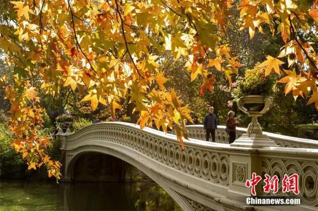 鲁安东：园林如何为东西方文化交流带来圆融？火狐电竞(图4)