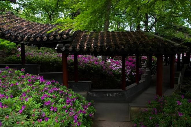 这座园中园还单独售票？现在还敢这么做的必定是高价值宝藏景点火狐电竞(图1)