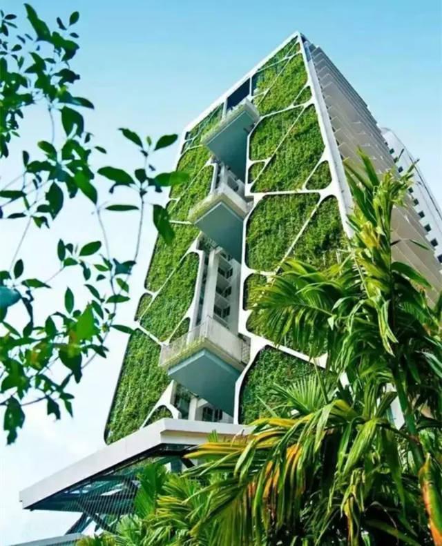 园林景观设计中的立体绿化到底是什么？设计布局有什么特点？火狐电竞(图16)