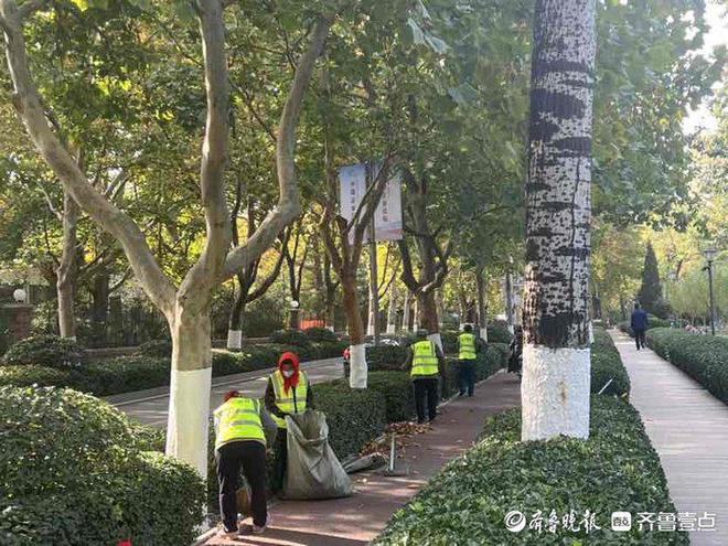 留住秋意济南马路“落叶不扫”能否实现？火狐电竞(图4)