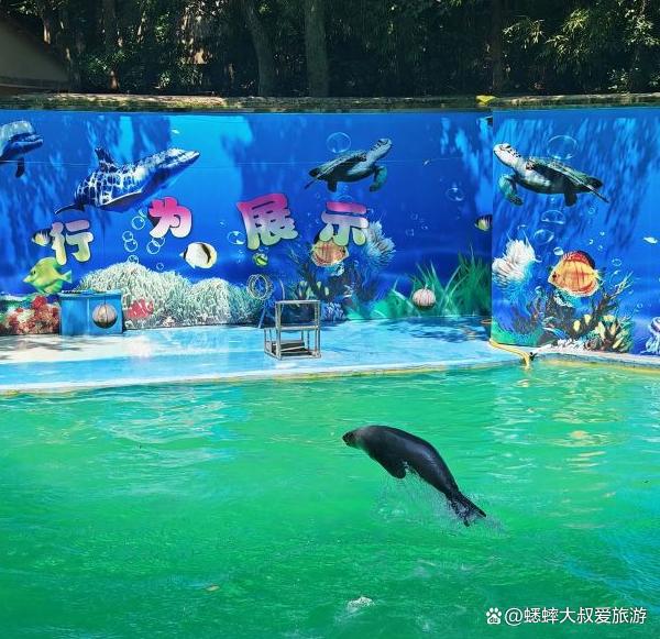 这个秋火狐电竞天杭州人一半人去了满觉陇一半去了动物园你呢？(图2)