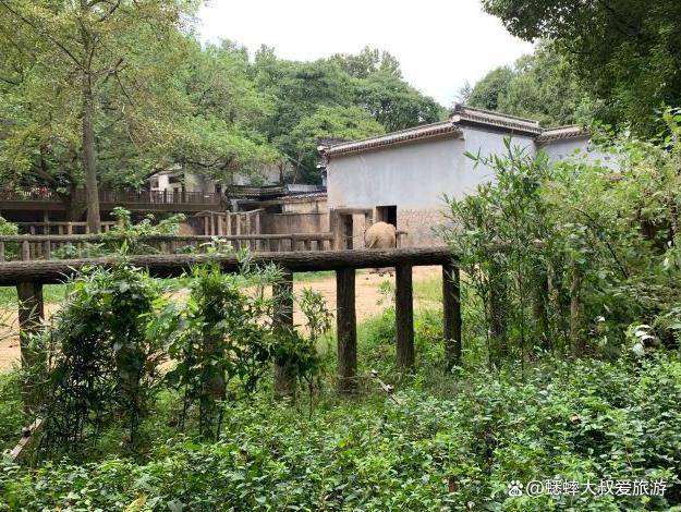 这个秋火狐电竞天杭州人一半人去了满觉陇一半去了动物园你呢？(图5)