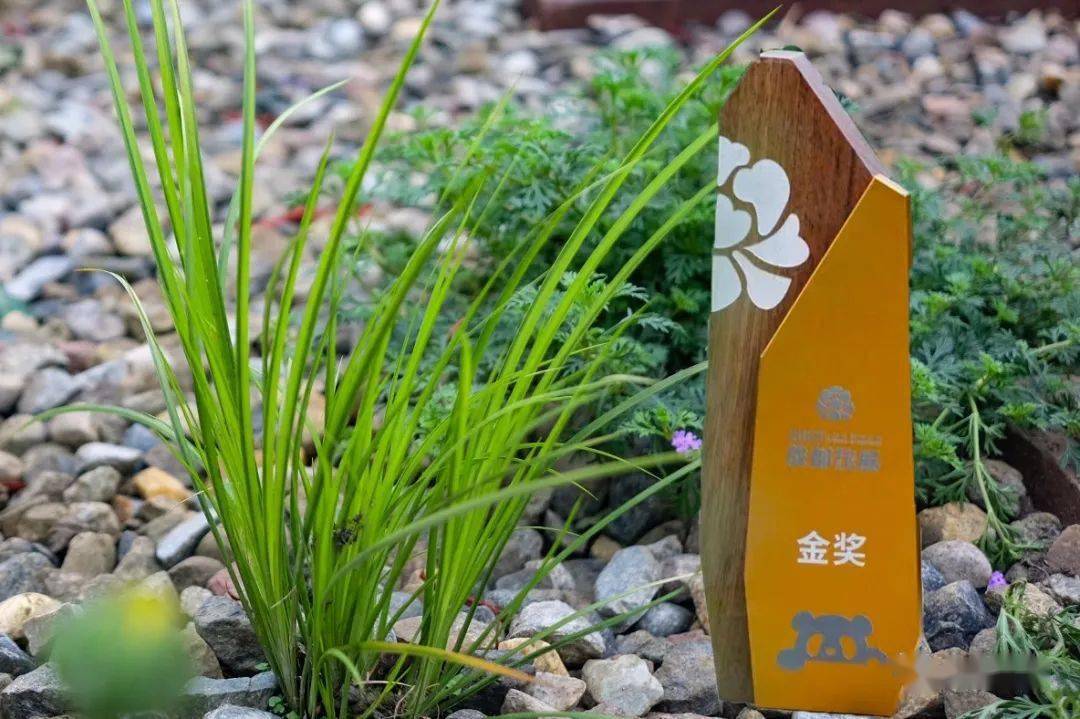 火狐电竞人文动态人文园林设计营造展园荣获2022成都花展最佳匠心金奖(图1)