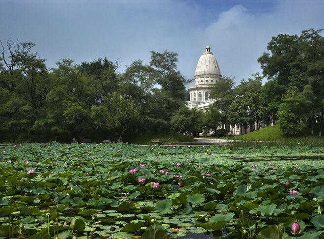 火狐电竞沈阳城市学院2023年艺术类招生简章(图1)