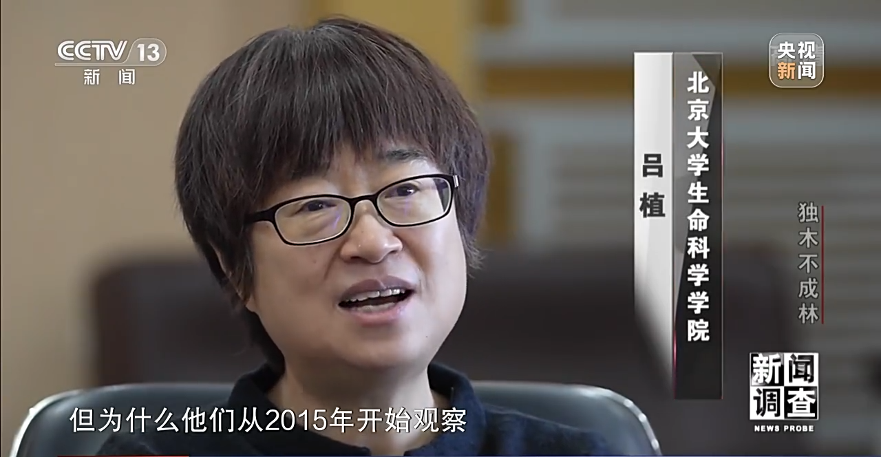 火狐电竞新闻调查丨独木不成林 城市与自然相互融合(图6)