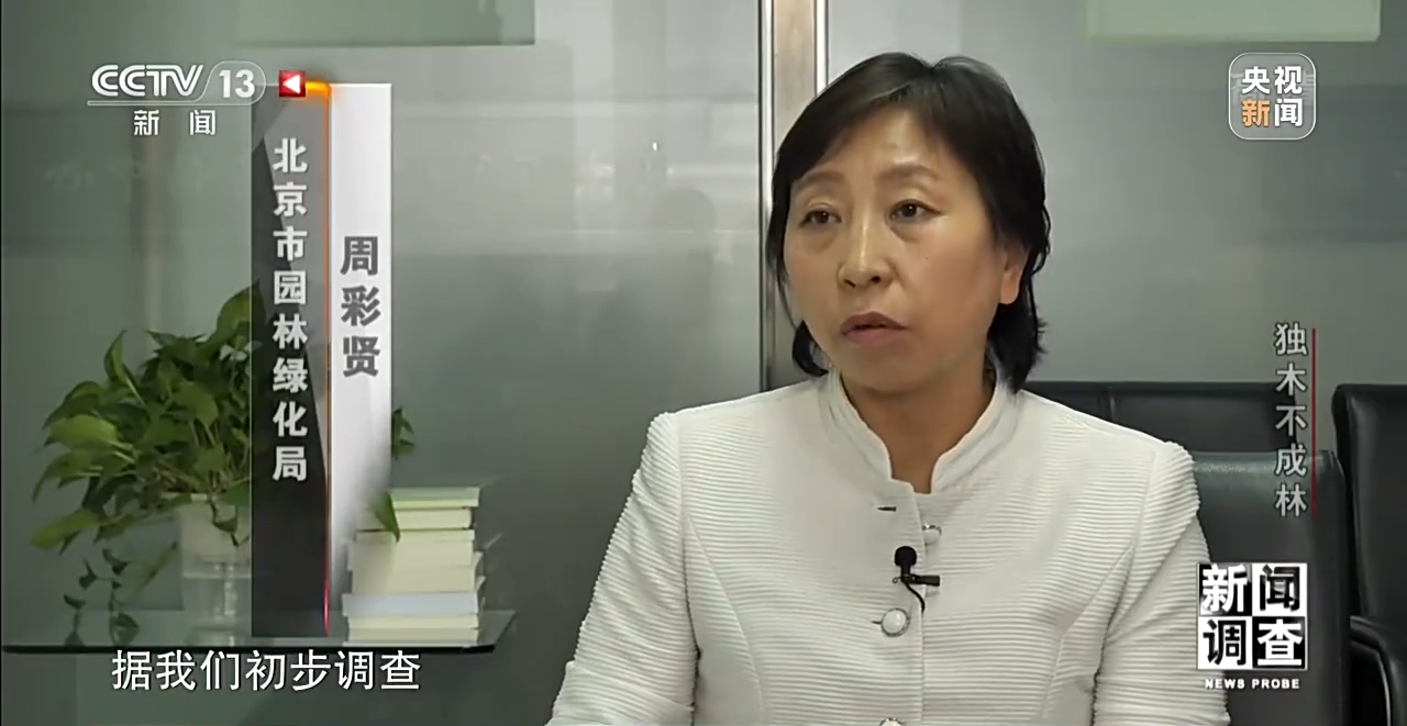 火狐电竞新闻调查丨独木不成林 城市与自然相互融合(图3)