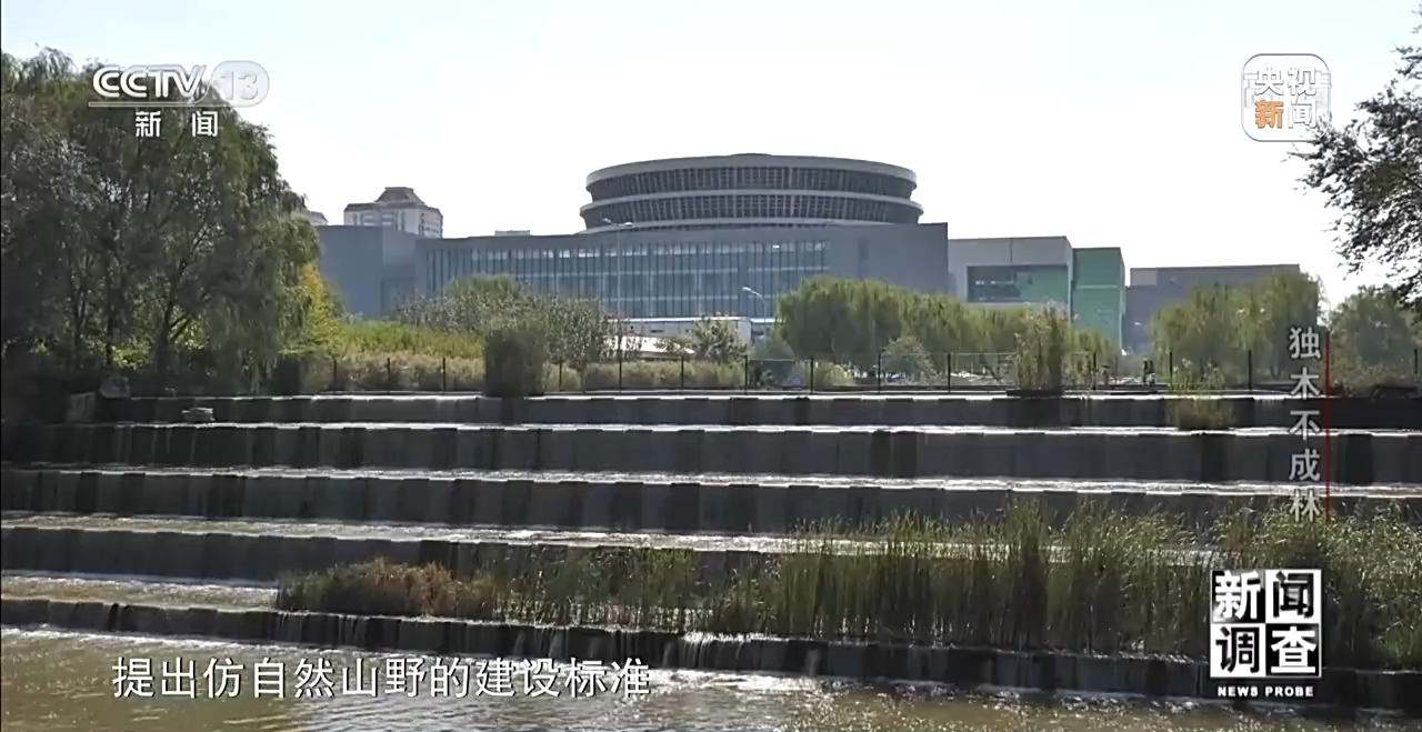 火狐电竞新闻调查丨独木不成林 城市与自然相互融合(图7)