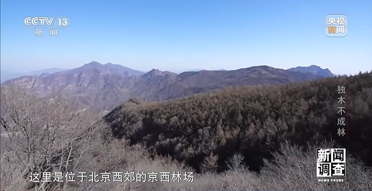 火狐电竞新闻调查丨独木不成林 城市与自然相互融合(图11)