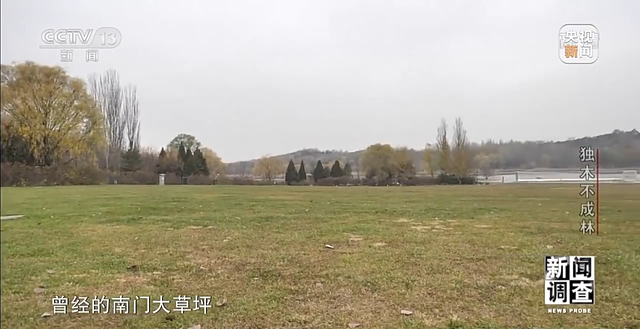 火狐电竞新闻调查丨独木不成林 城市与自然相互融合(图12)