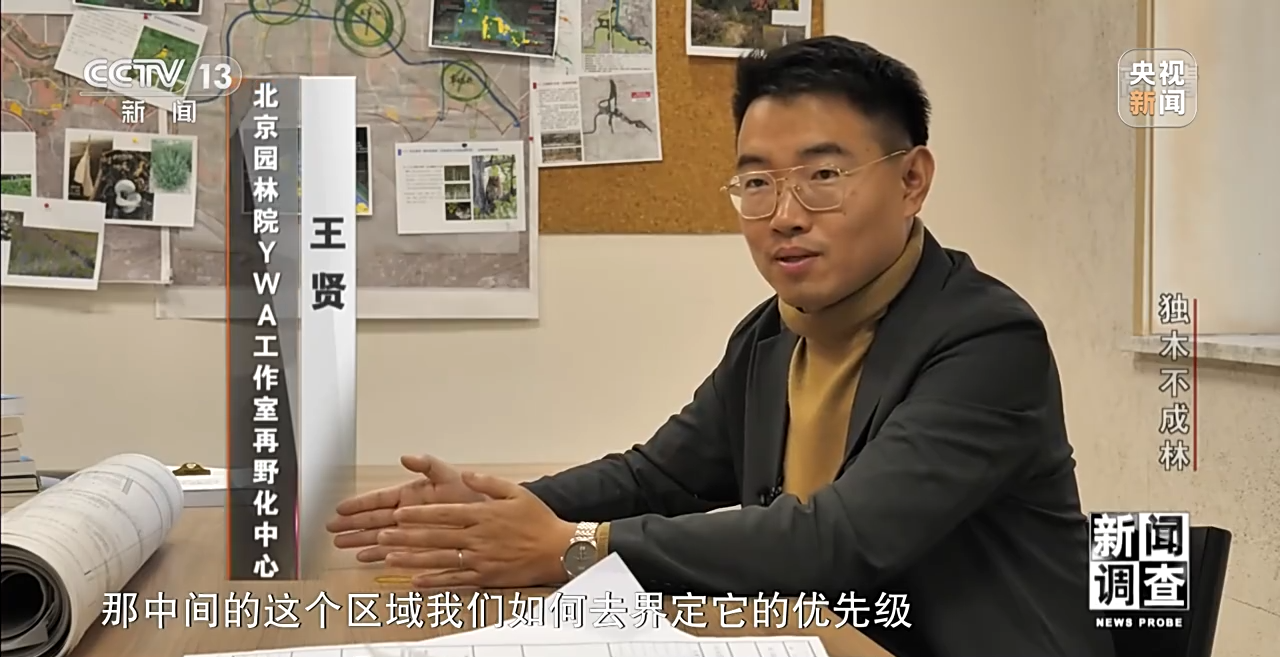 火狐电竞新闻调查丨独木不成林 城市与自然相互融合(图17)