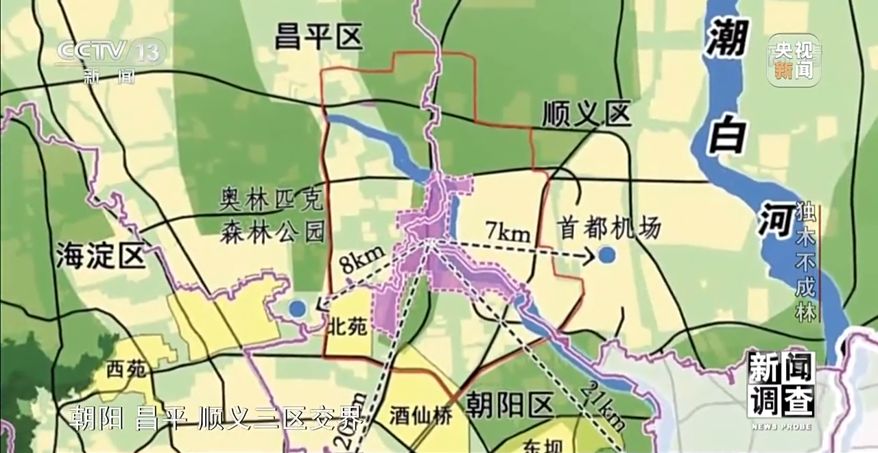 火狐电竞新闻调查丨独木不成林 城市与自然相互融合(图15)