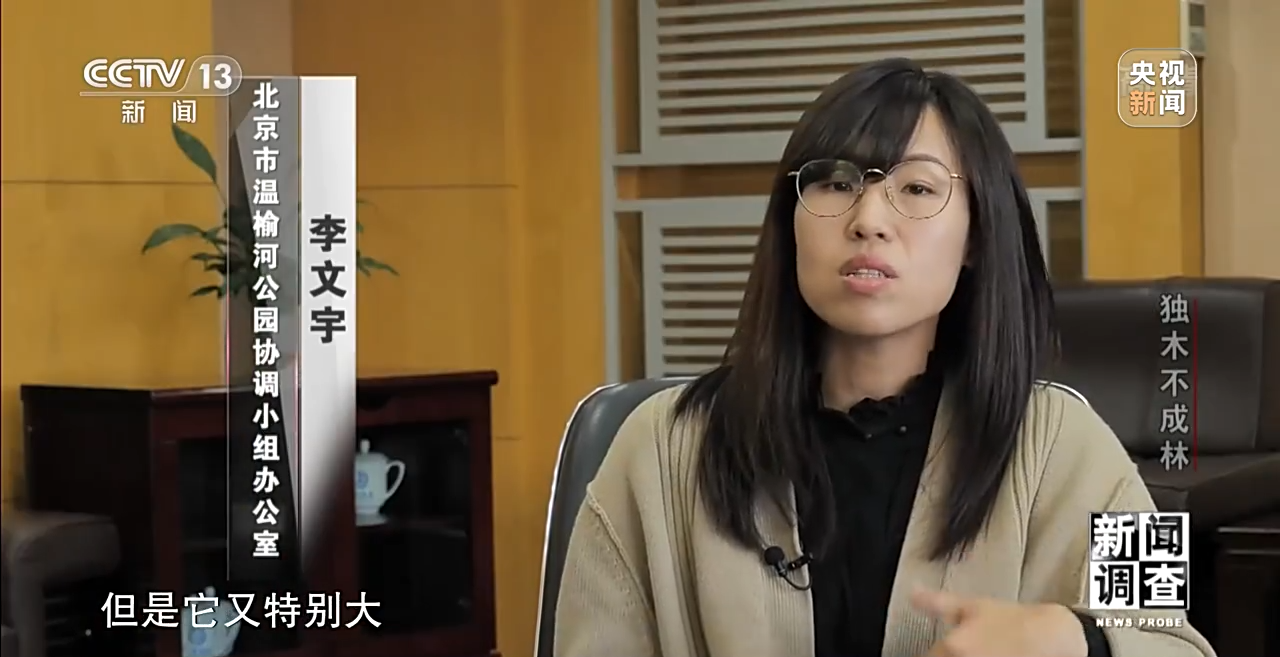 火狐电竞新闻调查丨独木不成林 城市与自然相互融合(图16)