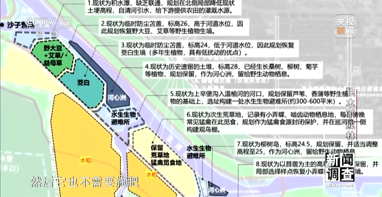 火狐电竞新闻调查丨独木不成林 城市与自然相互融合(图19)