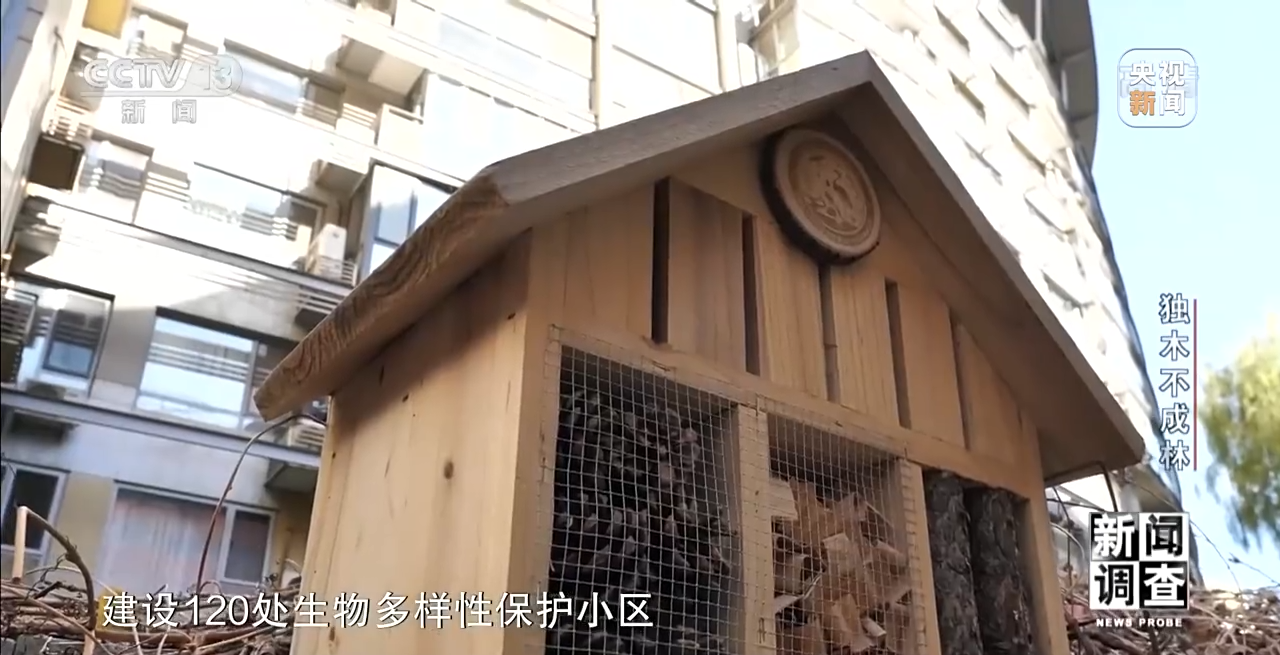 火狐电竞新闻调查丨独木不成林 城市与自然相互融合(图20)