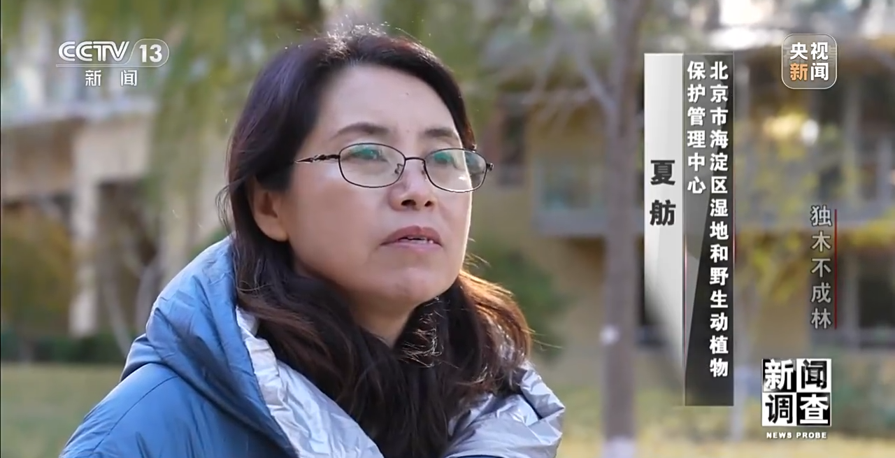 火狐电竞新闻调查丨独木不成林 城市与自然相互融合(图21)