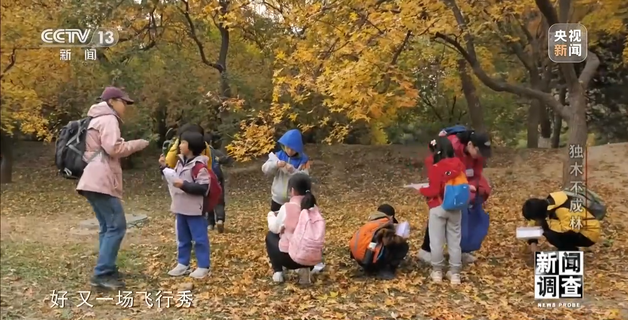 火狐电竞新闻调查丨独木不成林 城市与自然相互融合(图22)