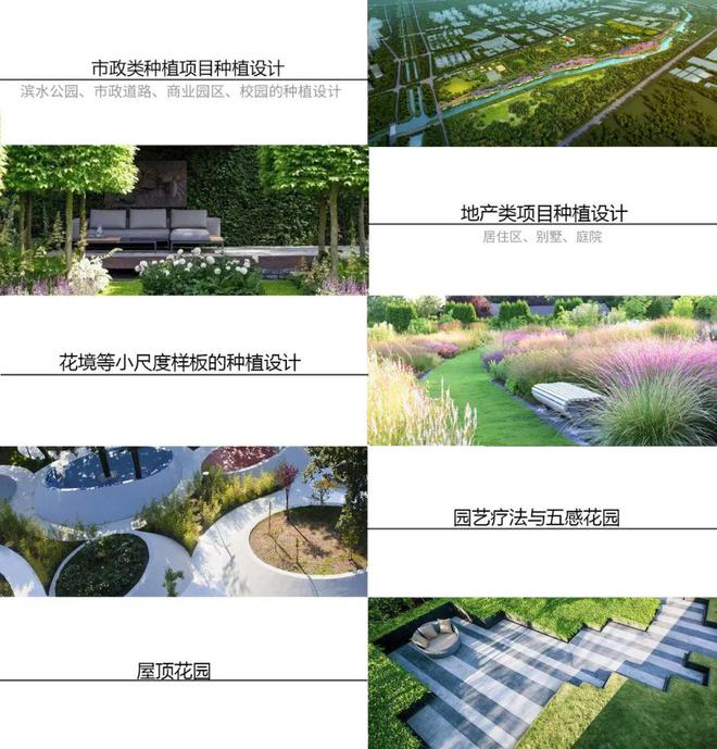 火狐电竞全园林植物设计搭配方法 · 知名种植设计师总结丨8周独立做园林植物！(图7)