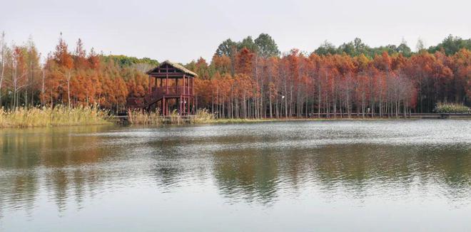 火狐电竞曹路宝专题调研园林保护建设和管理体制改革创新：让苏州园林成为城市闪亮标识(图3)