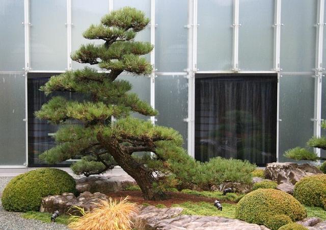 火狐电竞5个最佳元素帮你打造独特园林宜居花园庭院(图8)