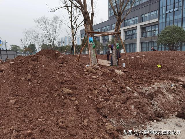 火狐电竞园林景观在回填土上做台阶怎么防止沉降？(图5)
