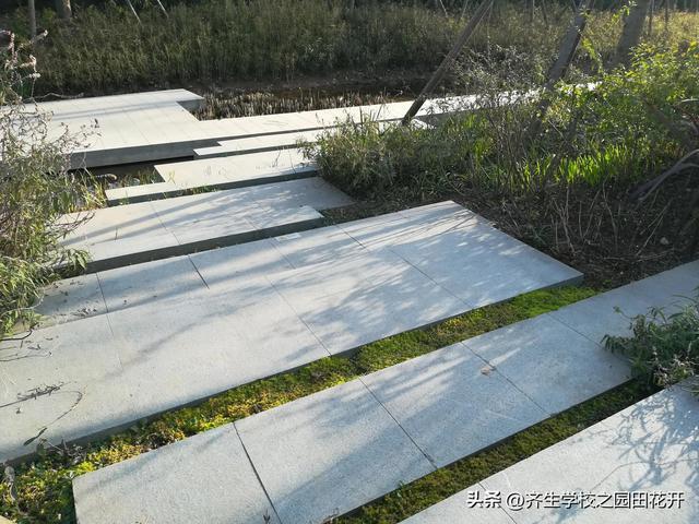 火狐电竞园林景观在回填土上做台阶怎么防止沉降？(图3)