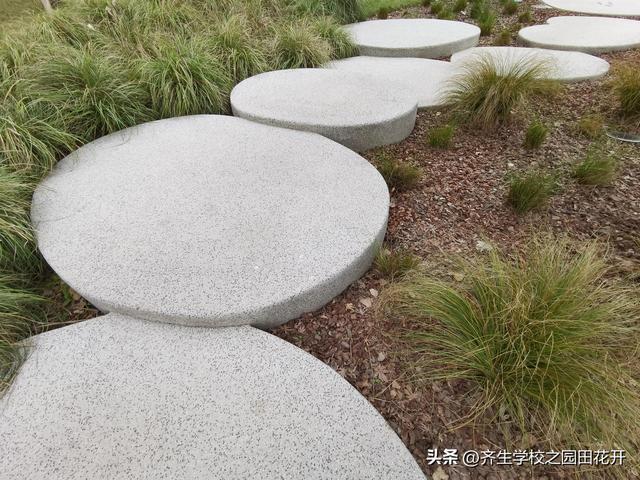 火狐电竞园林景观在回填土上做台阶怎么防止沉降？(图2)