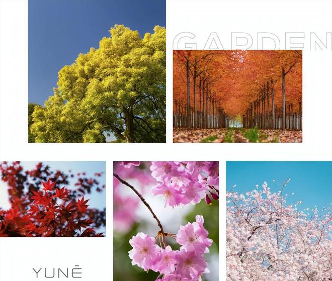 未来公园美学 缦云北京「折叠园林」荣摘伦敦设计奖火狐电竞(图10)