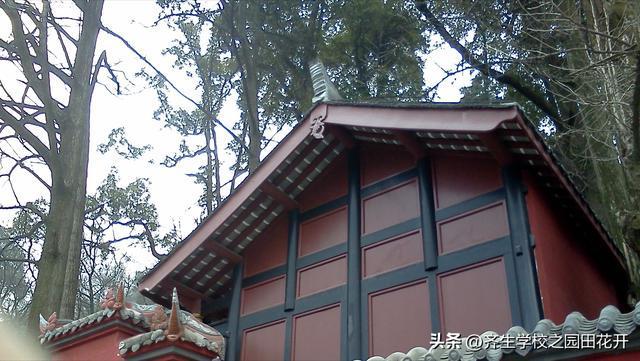 火狐电竞五个步骤——弄清园林观赏建筑坡屋面做法设计这样做才是真的牛(图4)