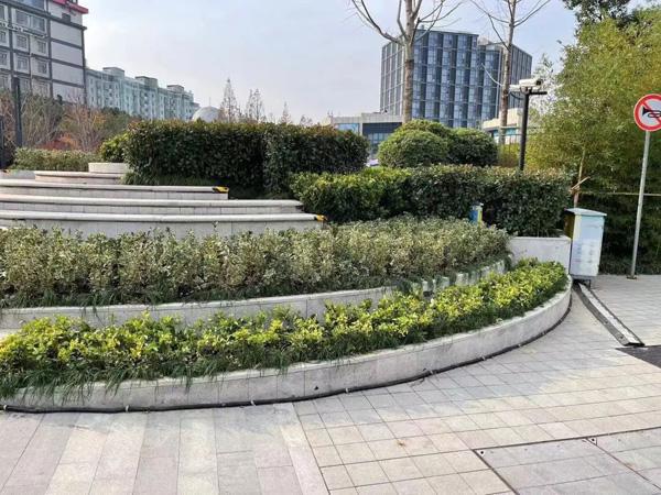 火狐电竞浦东新区2022年建成25个口袋公园！一园一特色可观可玩的开放绿地就在“家门口”(图26)