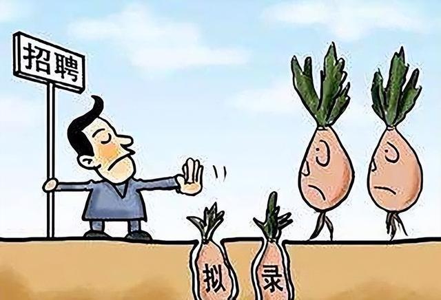 火狐电竞就差说名字了杭州一学校招聘数学老师研究生要求是风景园林(图6)
