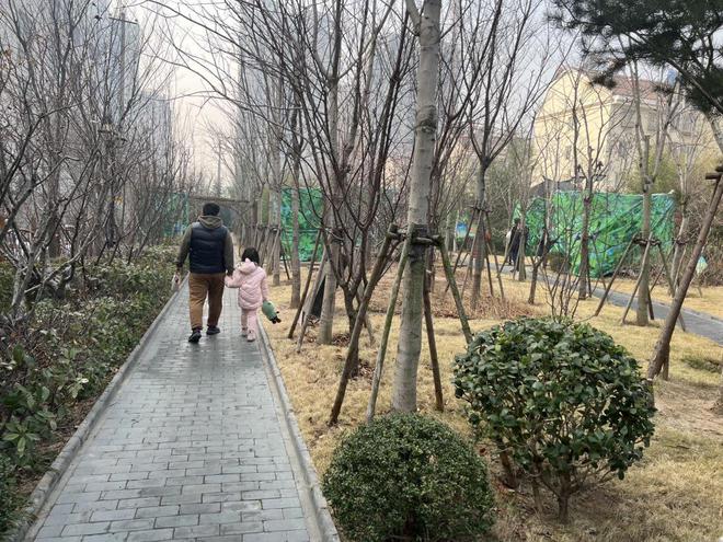 火狐电竞家门口四季常绿四季有花的城市园林！市北区共建成117处口袋公园(图2)