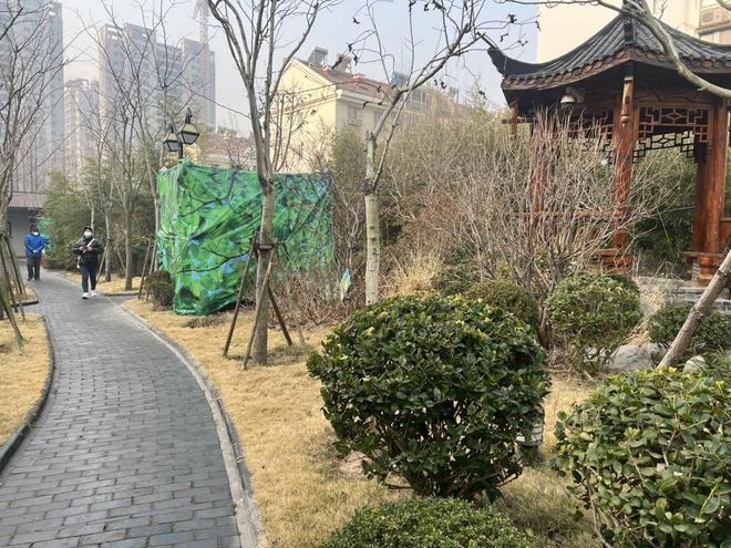 火狐电竞家门口四季常绿四季有花的城市园林！市北区共建成117处口袋公园(图1)