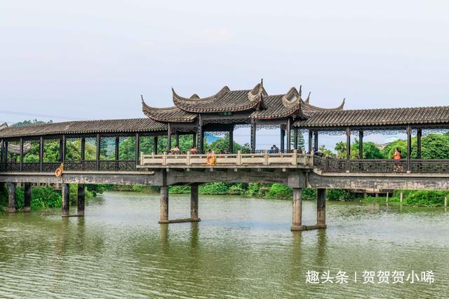 广东最霸气私人园林上百名能工巧匠齐力打造雅致园林尽显孝道火狐电竞(图3)