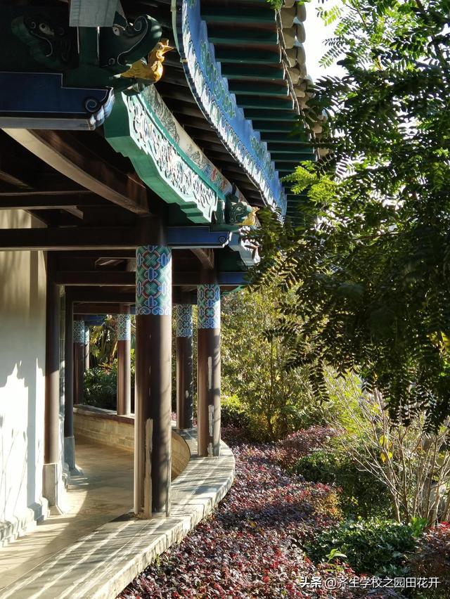 园林景观的园路火狐电竞美化设计与施工有哪些要点？(图1)