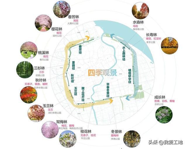 上海建工生态总规火狐电竞划师团队设计50座公园串起上海“绿环”(图3)