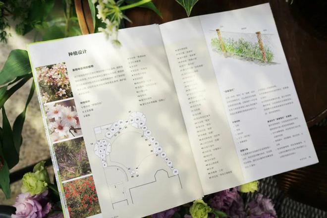 金奖园艺大师设计火狐电竞宝典教你搭建出梦想中的花园(图7)