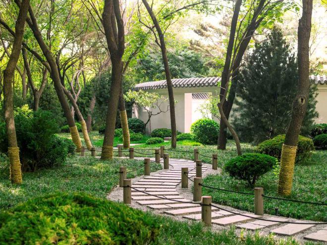破土而出的景观设计火狐电竞(图7)