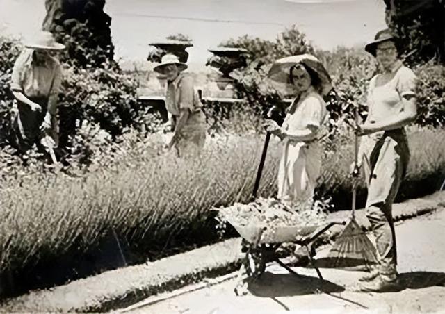 火狐电竞花园设计前沿趋势 14种澳洲庭院花园类型全面细致(图1)