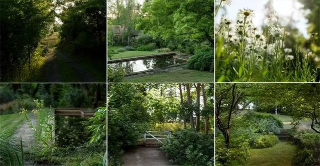火狐电竞花园设计前沿趋势 14种澳洲庭院花园类型全面细致(图8)