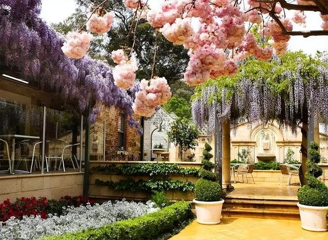 火狐电竞花园设计前沿趋势 14种澳洲庭院花园类型全面细致(图22)