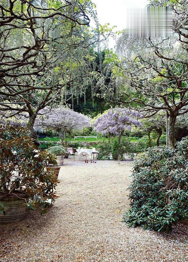 火狐电竞花园设计前沿趋势 14种澳洲庭院花园类型全面细致(图33)