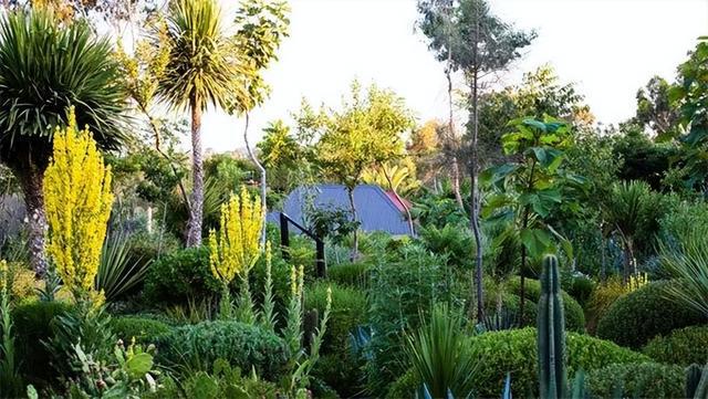 火狐电竞花园设计前沿趋势 14种澳洲庭院花园类型全面细致(图30)
