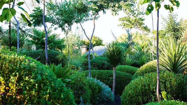 火狐电竞花园设计前沿趋势 14种澳洲庭院花园类型全面细致(图31)